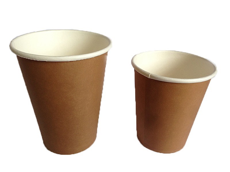 Are Disposable Coffee Cups Really Eco-Friendly Or&nbsp;Not?